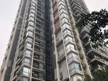 客厅全看江,视野很好,客厅开间大,采光好.