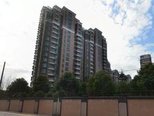 莘闵双拼天花板,南临河带大花园,装修保养新拎包入住,带地下室