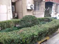 静安-大宁-金纺小区,优质好房,诚意售,安静位置