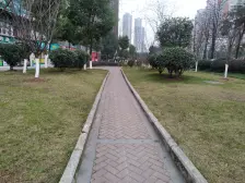 巴国城金科西城大院二房