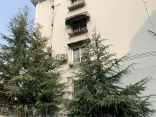 商品房小区,一梯两户,满五3房2卫格局,诚意出售