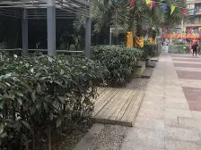 三轻轨 正规三房 产证在手 业主诚心出售 交易方便