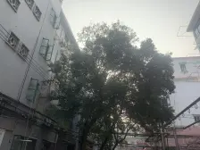 近地铁,精装,采光好,满五,新上房源