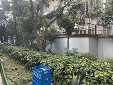 天柱山路小区1室1厅南