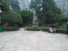 巴国城 金科西城大院二房65万