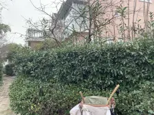 精装,产权清晰,无抵押 店长力推