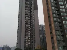 巴国城 金科品质楼盘 西城大院 精准1房 原始业主诚售