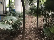 龙湖时代天街,重医旁,户型方正,采光好 ,交通便利