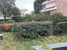 北进门南花园 附赠中庭和露台 小区主干道位置 业主