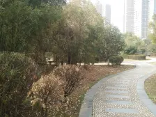 湖滨东路 天水怡景小洋房 房东去外地发展