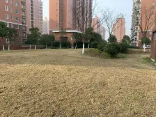 大面宽,落地大阳台,17年竣工次新小区,可以直达地库