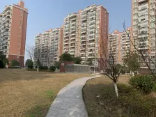 随时看房 电梯房 刚需上车 热销好房