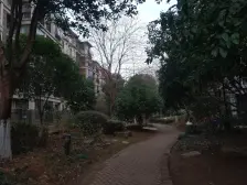 此房户型格局好,采光好,无遮挡,出行方便