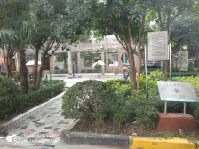 三开间朝南,电梯高区,采光视野好,精装修,全明户型