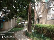 满五年税费少带电梯带装修价格合适