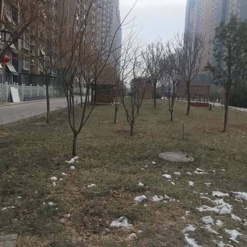 整租·任达佳苑 1室1厅 南