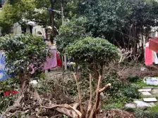 联乾小区 2室1厅 南