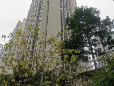 南桥寺 保利香雪三房