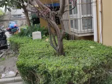 主卧朝南,品质小区,诚意出售,一梯三户