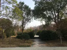 象湖南郡联排中间户实得面积400平带前后院子