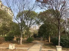 房型方正、正规居室、可以拎包入住、小区环境安静、前后视线