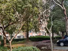 小区中间位置 真边套 楼层好 有钥匙 随时可看。