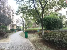 看中价钱可谈 两房朝南,户型方正,空间利用率高;全天太阳,采