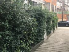 蓝色港湾 2室1厅 东南