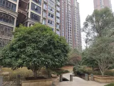 汇仁阳光花园 通透3房 地铁口700米