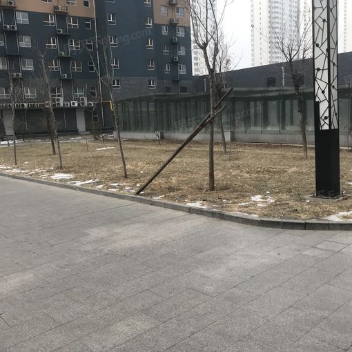 整租·任达佳苑 1室1厅 东