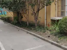 南大板块近中环边07年大三房,南北双露台