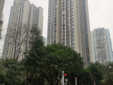 保利朝中庭精装两房,价格合理