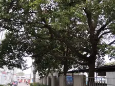 8号线延伸线 汇臻路站 小区位置佳 区域低总价大四房