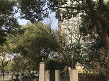 大柏树新出高区电梯3房+精装修+景观东方明珠+等比错层