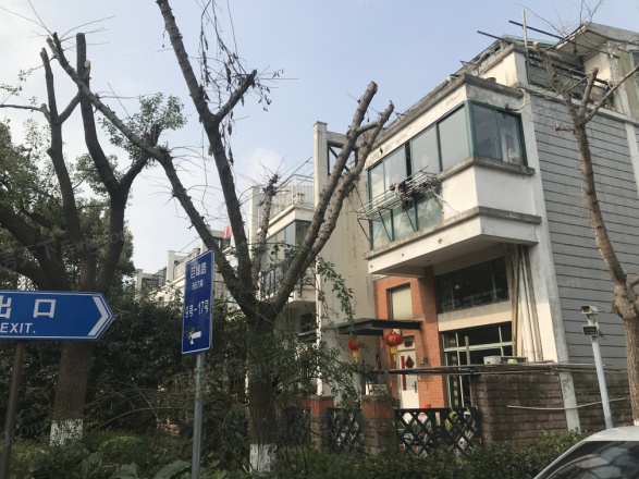 证大家园别墅