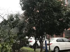 新上房源+只有契税+三房+近地铁+不靠马路