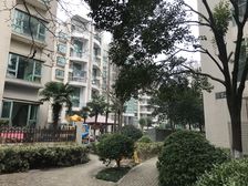 狮山CBD! 锦丽苑 · 2室 · 2厅!户型正气!采光好!