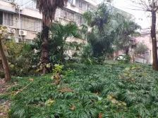 小户型,交通便利,居家装修,售后公房