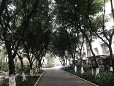 东海岸精装住家可拎包入住,滨江路