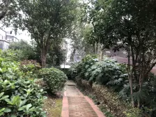 东华200米+联排东边套+大露台+地下室