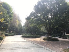 业主诚心出售 精装两房 小区绿化好