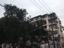 环境优美,交通便利,精装修,诚意出售