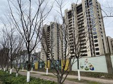 中创区紫琅湖畔精装修洋房前排视野户型好位置好有钥匙