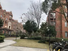 次新高品质电梯复式,地下室,背靠广富林