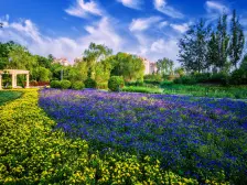 香江健康小镇玫瑰园 2室1厅 南 北