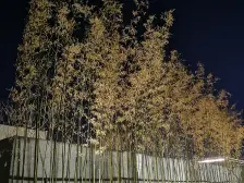 永威品质,次新房小区,业主诚心出售。 大四室小高层