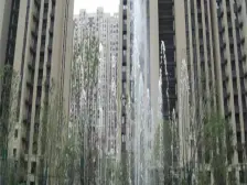 电梯洋房,通透户型,全天采光,无遮挡,满五