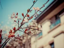 龙洲湾 阳光100阿尔勒二期二房120万