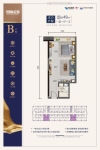 建面49平户型