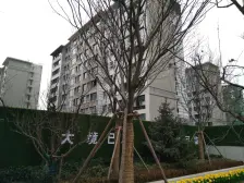 泰山府一楼带院 精装修 南北通泰通 采光好